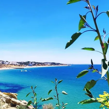 Апартаменты Lovely Sea View Balcony *